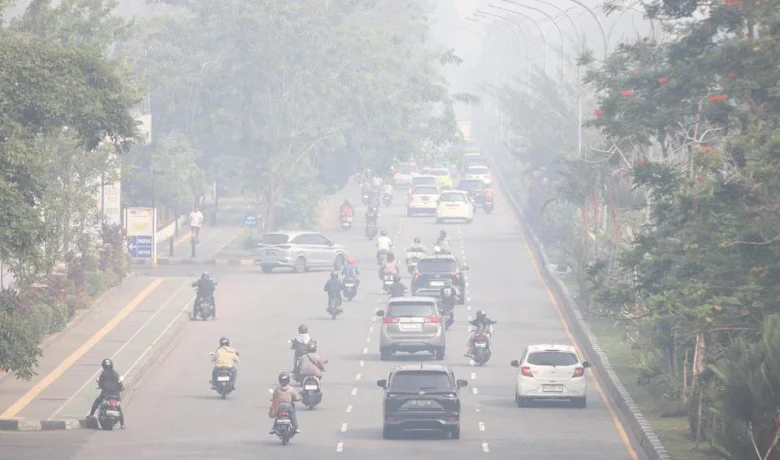 KLH Fokus Pantau Tiga Kawasan Gambut Rawan Karhutla: Kubu Raya Teratas