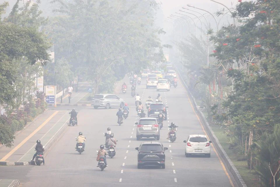 KLH Fokus Pantau Tiga Kawasan Gambut Rawan Karhutla: Kubu Raya Teratas