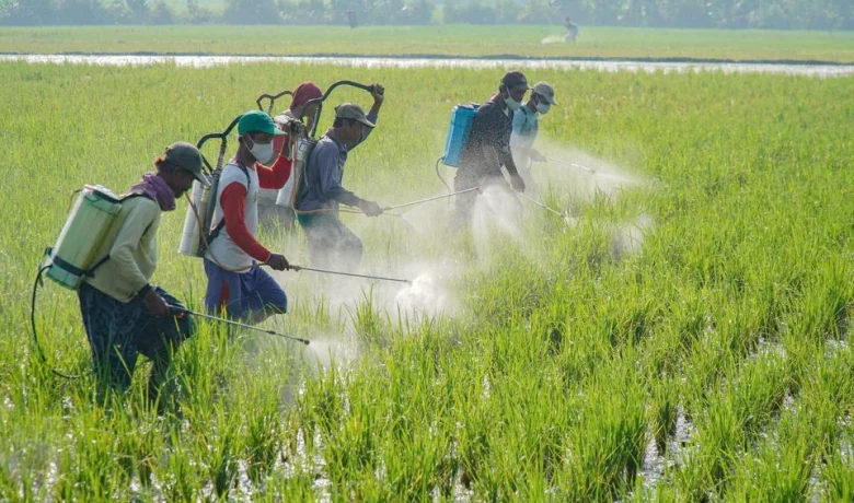 Announced: Prabowo Sebut Dapat Laporan Semakin Banyak Petani yang Liburan ke Luar Negeri