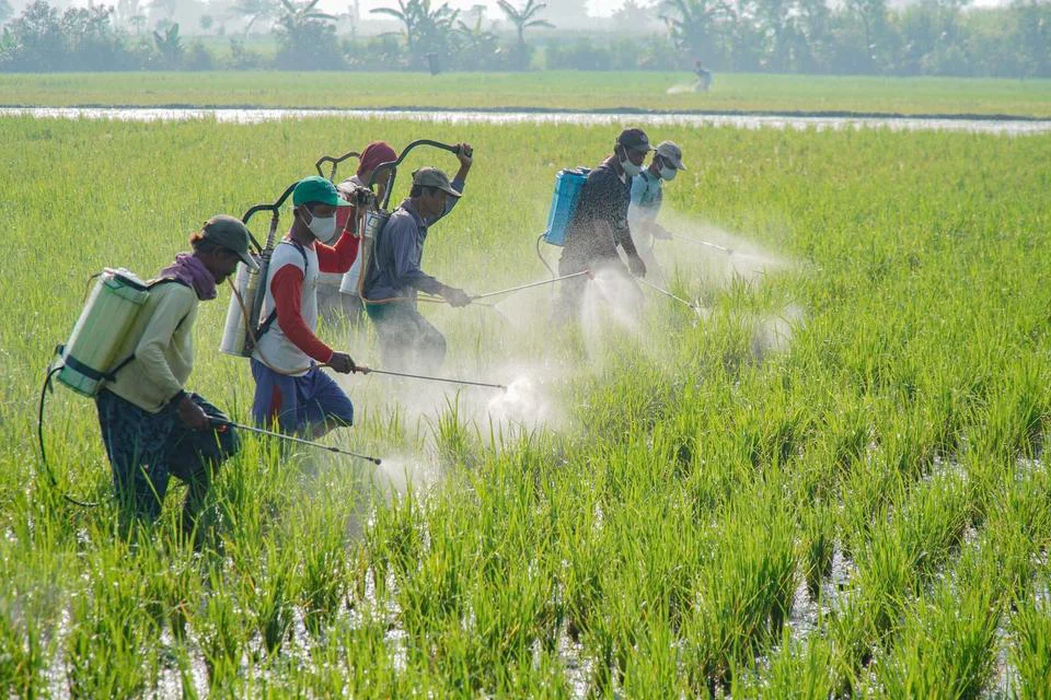 Announced: Prabowo Sebut Dapat Laporan Semakin Banyak Petani yang Liburan ke Luar Negeri