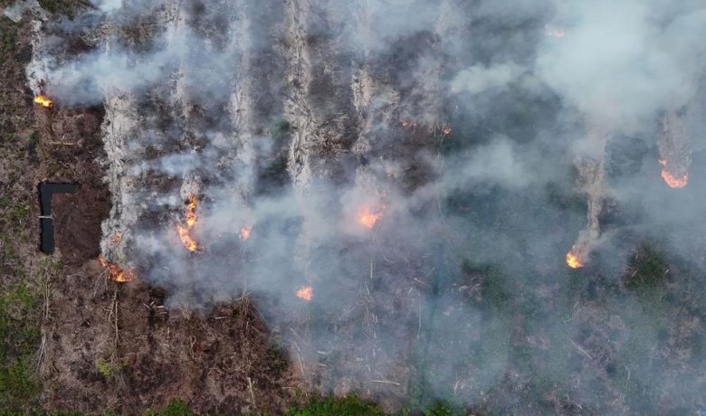 Kasus Karhutla Setor Rp500 M ke Negara – KLH Gugat Empat Perusahaan Lagi