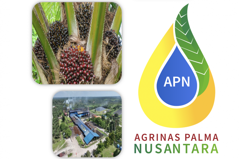 New Policy: Agrinas Palma Reaktivasi Pabrik Biodiesel di Riau, Biayanya Disebut Murah