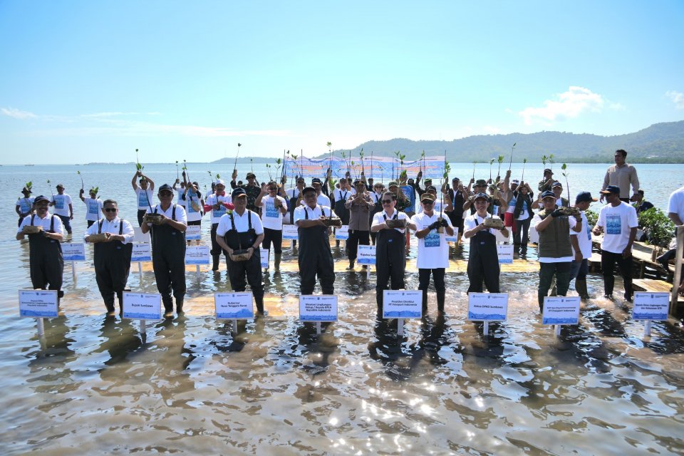 Latest Program: Freeport dan KLH Perkuat Ketahanan Pesisir NTB dengan Tanam 1,5 Juta Mangrove