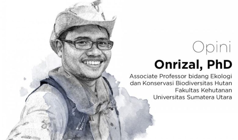 New Policy: Jangan Bayar Ekspor Udang dengan Hilangnya Mangrove