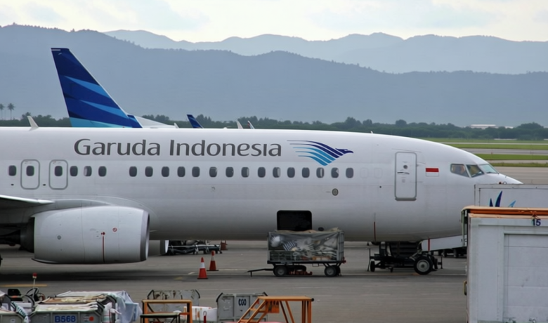 Danantara Ungkap Progres Merger GIAA dan Pelita, Mampu Jadi Pemain Regional?