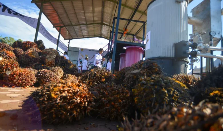 Produksi Sawit RI Terancam Susut 3 Juta Ton Imbas El Nino, Harga Berpotensi Naik