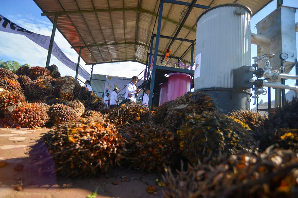 Produksi Sawit RI Terancam Susut 3 Juta Ton Imbas El Nino, Harga Berpotensi Naik