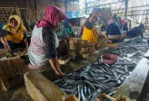 Pemkab Pati dan AEON Indonesia Bakal Buka Akses Pasar untuk UMKM Perikanan