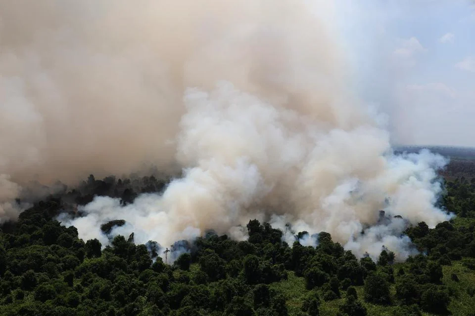 Baru Enam Bulan, Luas Karhutla Kalimantan Barat Lampaui Tahun Lalu