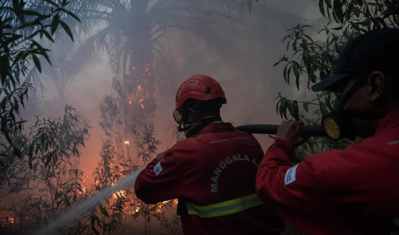 Karhutla 2026 Lebih Luas dari 2023 dan 2019, El Nino Terkuat Mengintai