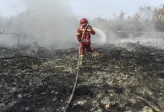 Kemenhut Tetapkan 29 Tersangka Kebakaran Hutan 2026, Tak Ada dari Korporasi