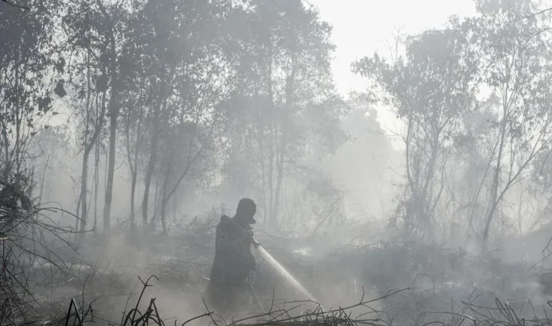 2.610 Titik Panas Kepung Sumatra, Lebih dari Separuh Berada di Sumsel