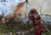 Kemenhut Catat Titik Panas Nasional Turun, Bukan Berarti Karhutla Terkendali