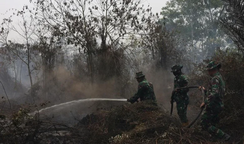 Pemprov Kaltim Klaim Karhutla Masih Terkendali, Modifikasi Cuaca Disiapkan