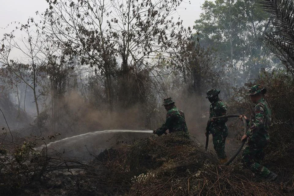 Pemprov Kaltim Klaim Karhutla Masih Terkendali, Modifikasi Cuaca Disiapkan