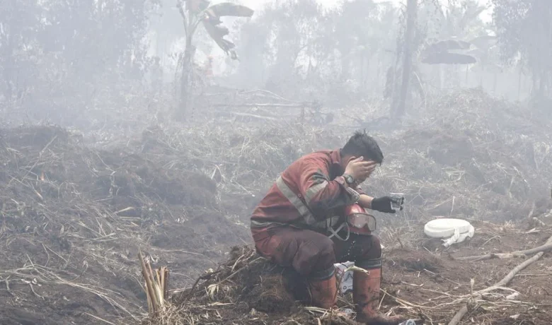 Tiga Kasus Kebakaran Hutan Jambi Diselidiki, Menhut Tegaskan Tak Pandang Bulu