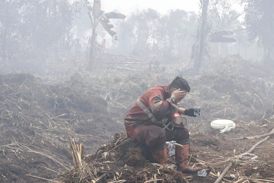 Tiga Kasus Kebakaran Hutan Jambi Diselidiki, Menhut Tegaskan Tak Pandang Bulu