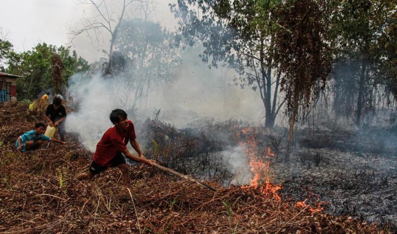 Kemenhut Sanksi 6 Perusahaan Imbas Kebakaran Hutan 1.511 Hektare di Kalimantan