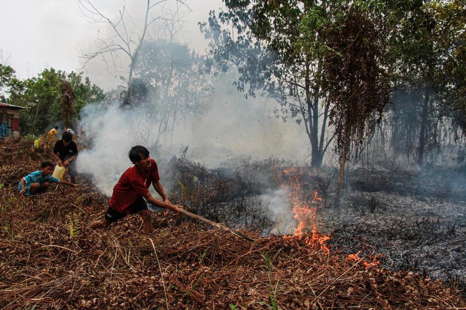 Kemenhut Sanksi 6 Perusahaan Imbas Kebakaran Hutan 1.511 Hektare di Kalimantan