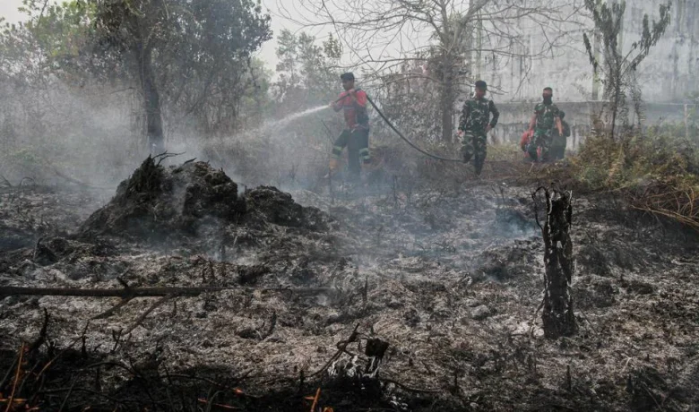 Kemenhut Usut Karhutla, Temukan Dugaan Jual Beli Kawasan hingga Perambahan
