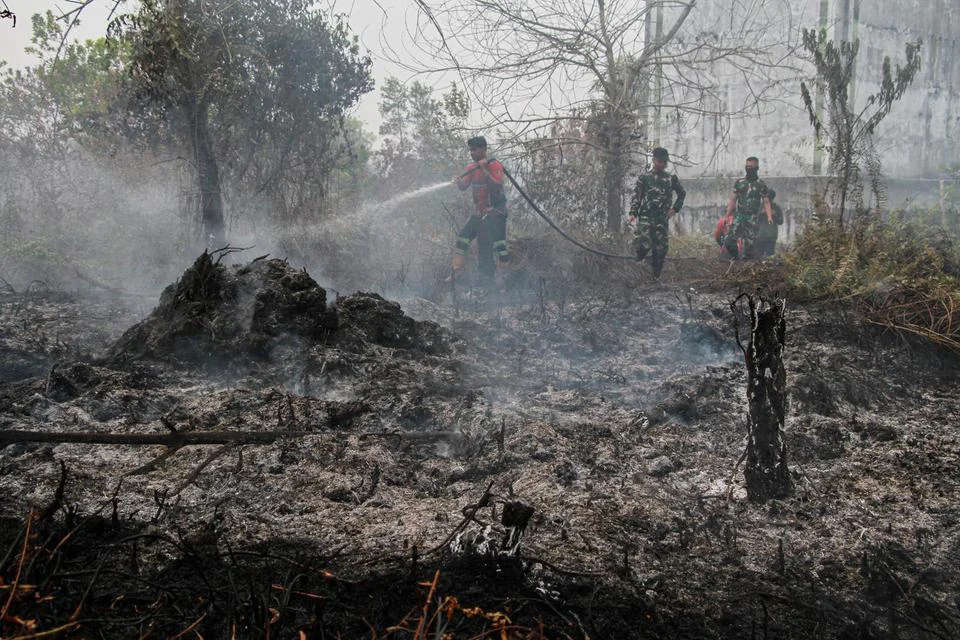 Kemenhut Usut Karhutla, Temukan Dugaan Jual Beli Kawasan hingga Perambahan