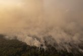 Jumlah Hotspot Kebakaran Hutan dan Lahan Naik, Kalteng dan Kalbar Paling Disorot