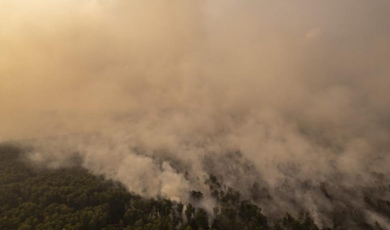 Jumlah Hotspot Kebakaran Hutan dan Lahan Naik, Kalteng dan Kalbar Paling Disorot