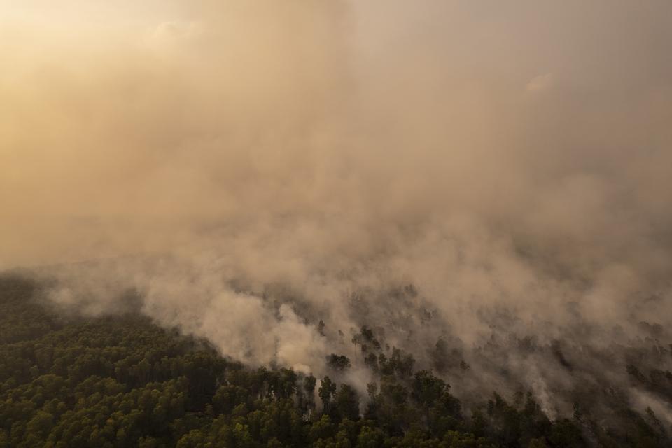 Jumlah Hotspot Kebakaran Hutan dan Lahan Naik, Kalteng dan Kalbar Paling Disorot