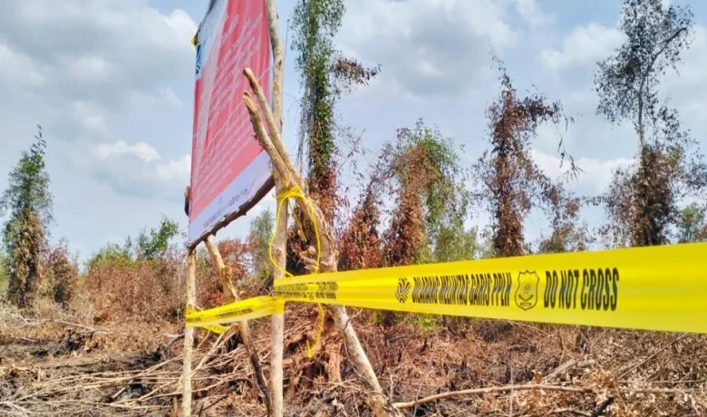 Imbas Kebakaran Lahan, KLH Segel Konsesi Perusahaan Sawit di Sumatra Selatan