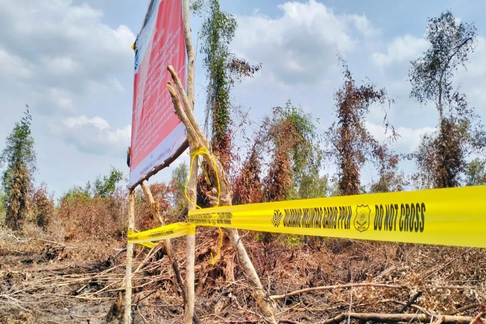 Imbas Kebakaran Lahan, KLH Segel Konsesi Perusahaan Sawit di Sumatra Selatan