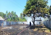 Turut Terjadi di Papua, Kebakaran Hutan Lahap 396 Hektare Lahan di Nabire