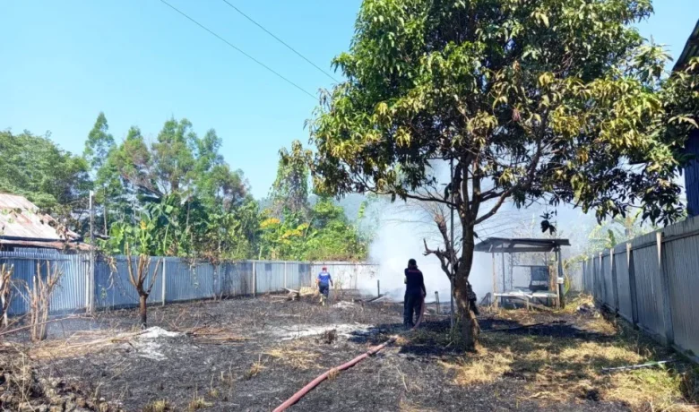 Turut Terjadi di Papua, Kebakaran Hutan Lahap 396 Hektare Lahan di Nabire