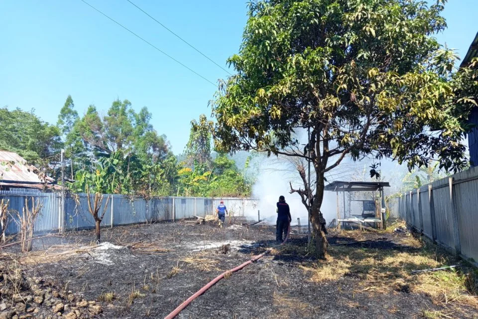 Turut Terjadi di Papua, Kebakaran Hutan Lahap 396 Hektare Lahan di Nabire