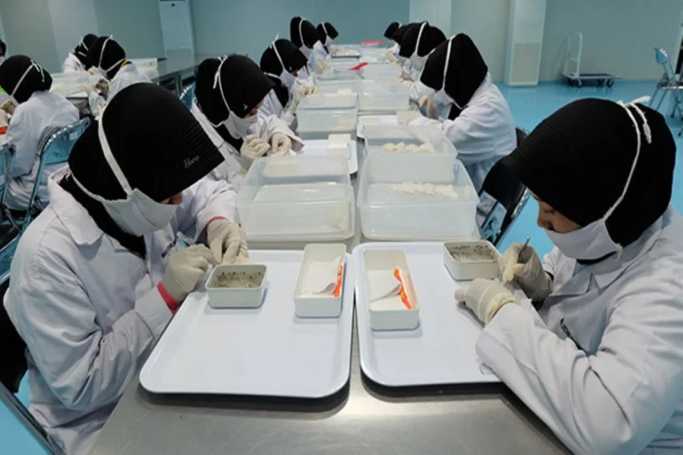 Aksi Baru RLCO Bangun Dua Lini Bisnis, Diversifikasi Lini Sarang Burung Walet