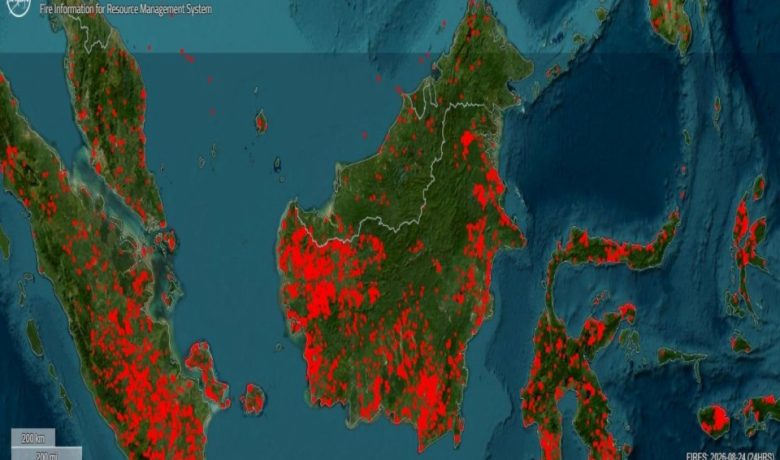 Satu Pulau, Mengapa Karhutla Masif di Kalimantan tapi Tidak di Malaysia-Brunei?