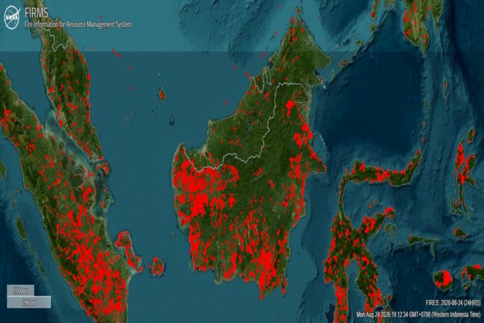 Satu Pulau, Mengapa Karhutla Masif di Kalimantan tapi Tidak di Malaysia-Brunei?