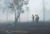 Raja Juli Gagal Mendarat di Kalbar, Angkasa Pura Ungkap Penyebabnya