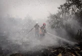 Raja Malaysia Deklarasikan Keadaan Darurat Asap di Sarawak Imbas Karhutla